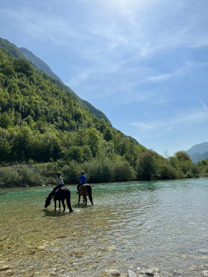 Apartment Baban In Zaga, Slovenia Экстерьер фото
